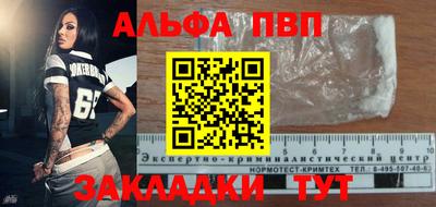 шишки Обь