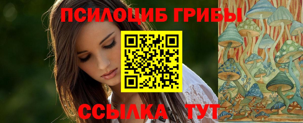 Галлюциногенные грибы MAGIC MUSHROOMS  Вход с VPN  Нефтекумск 